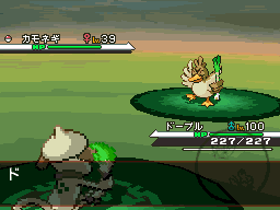 sacred fire animation