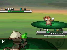 tailwind animation
